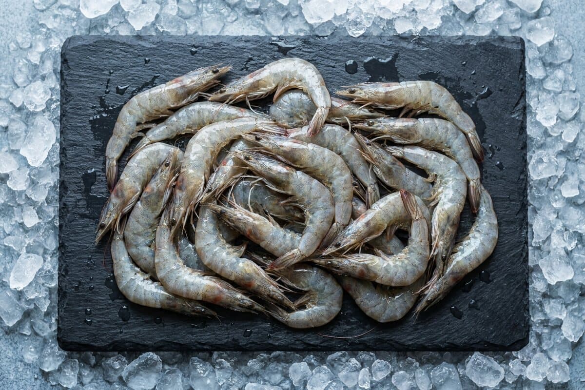 Crevettes moyennes-petites 40/50 frais sur glace, livré dans le Grand Caire