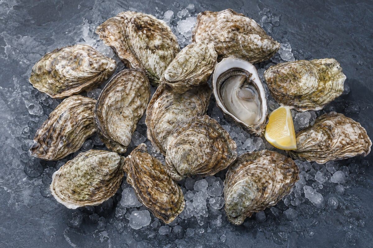 Oysters (mahar)